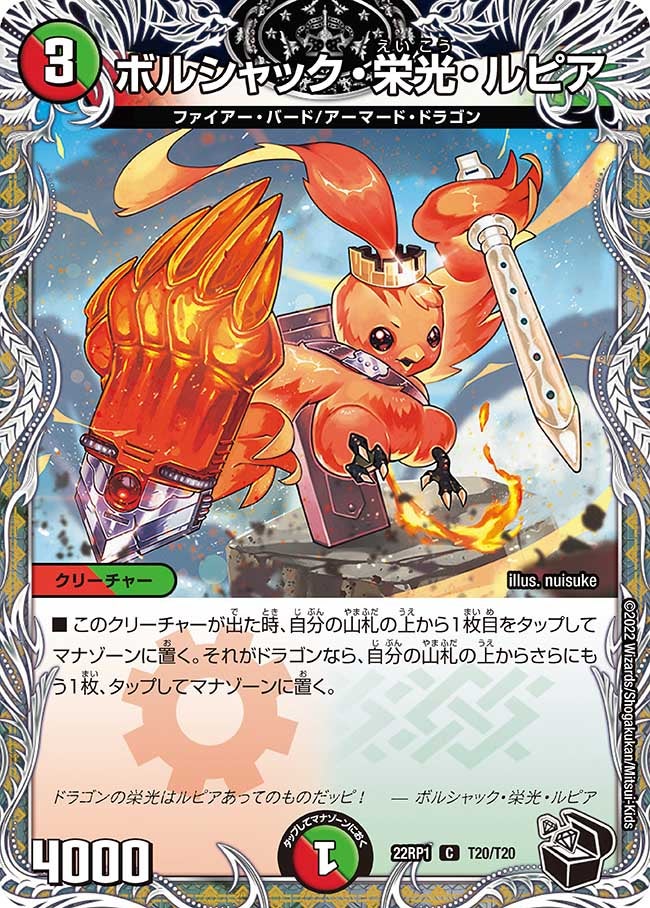ボルシャック・栄光・ルピア T20/T20 DM22RP1