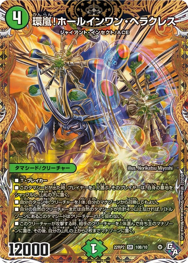 環嵐!ホールインワン・ヘラクレス 10B/10 DM22RP2