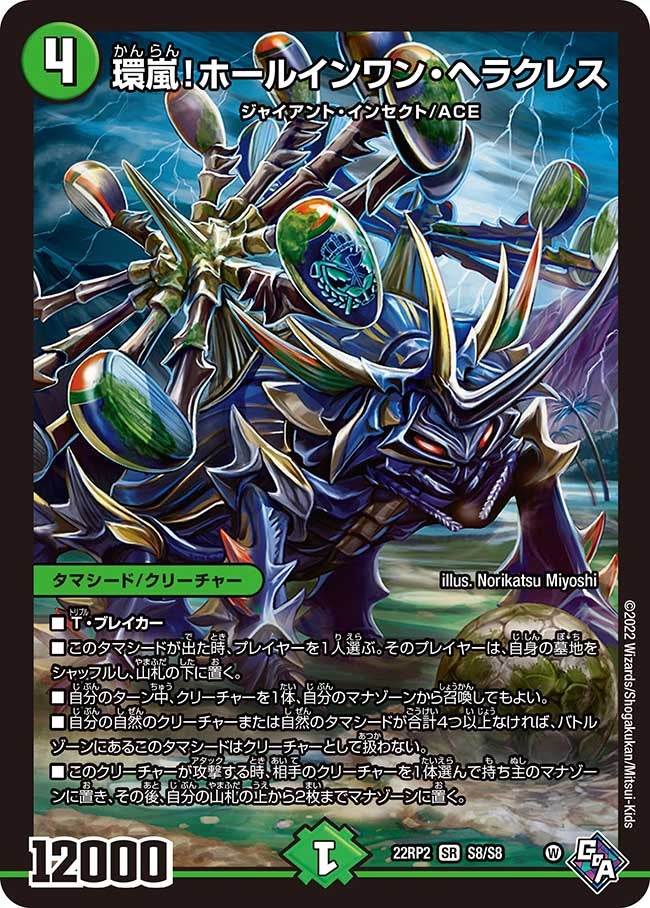 環嵐!ホールインワン・ヘラクレス S8/S8 DM22RP2