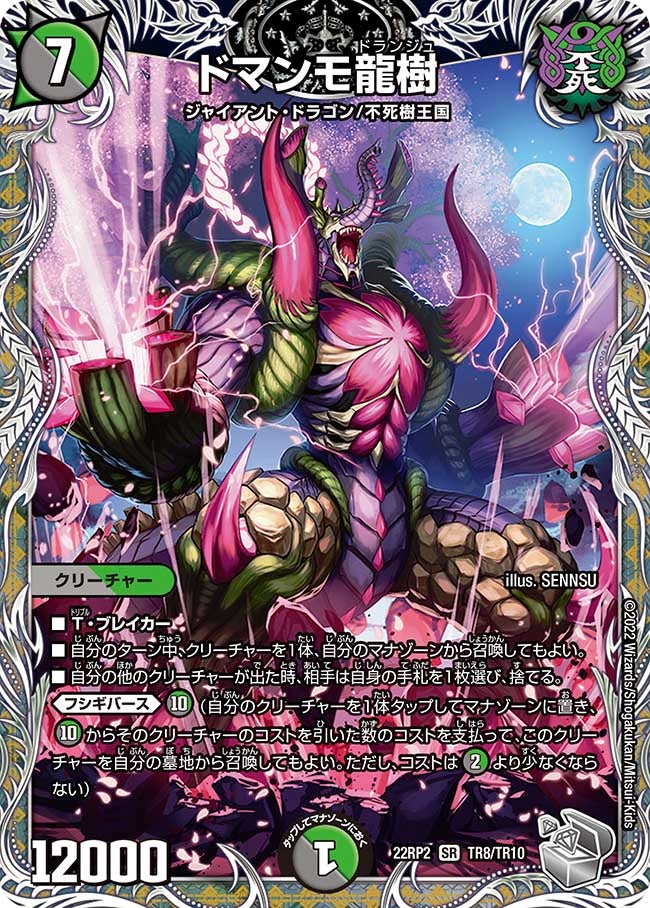 ドマンモ龍樹 TR8/TR10 DM22RP2