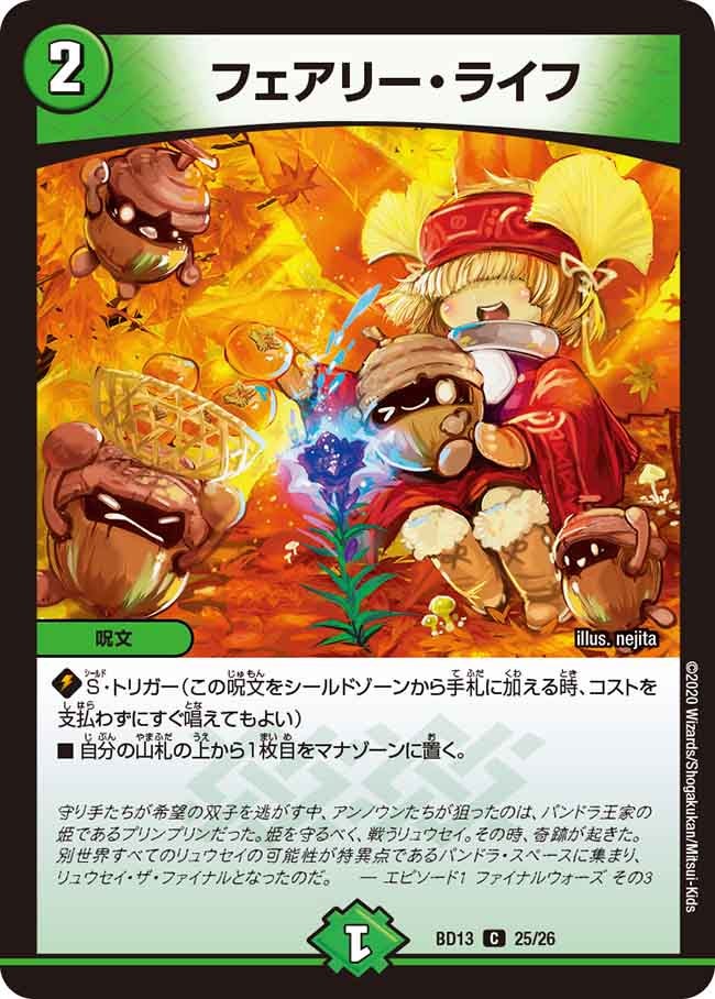 フェアリー・ライフ 25/26 DMBD13