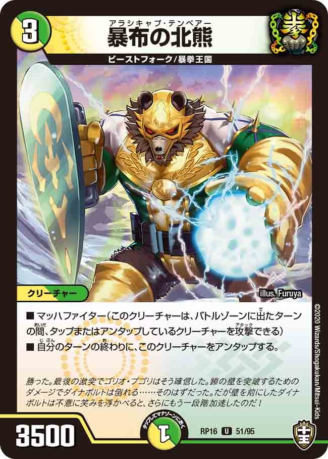 暴布の北熊 51/95 DMRP16