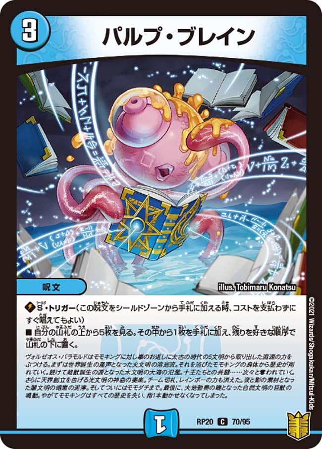 パルプ・ブレイン 70/95 DMRP20