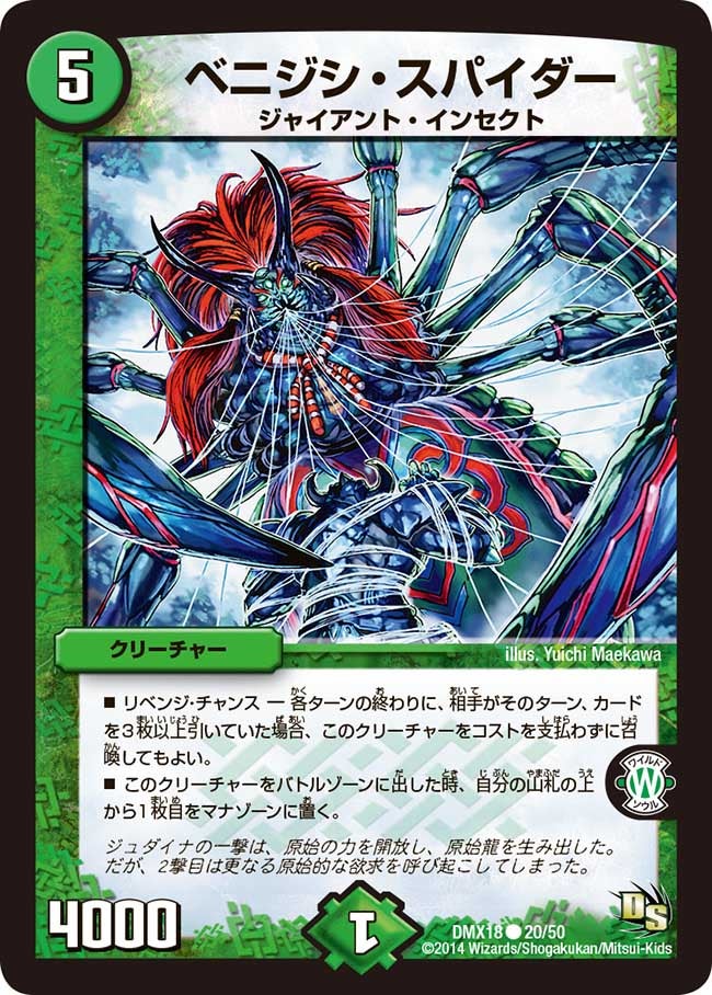 ベニジシ・スパイダー