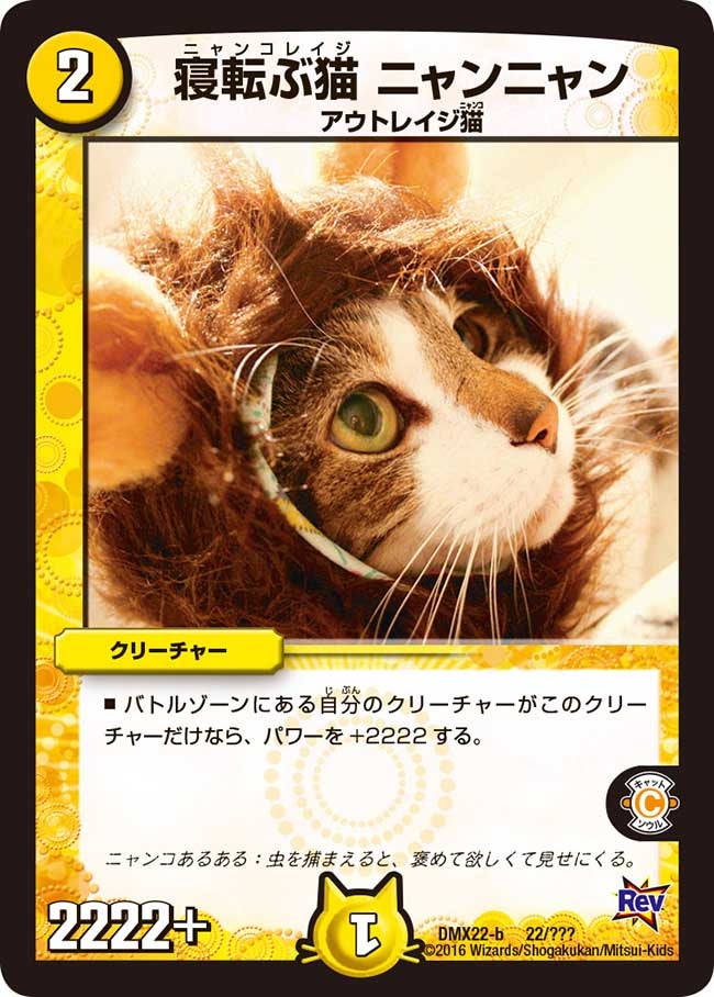 寝転ぶ猫 ニャンニャン