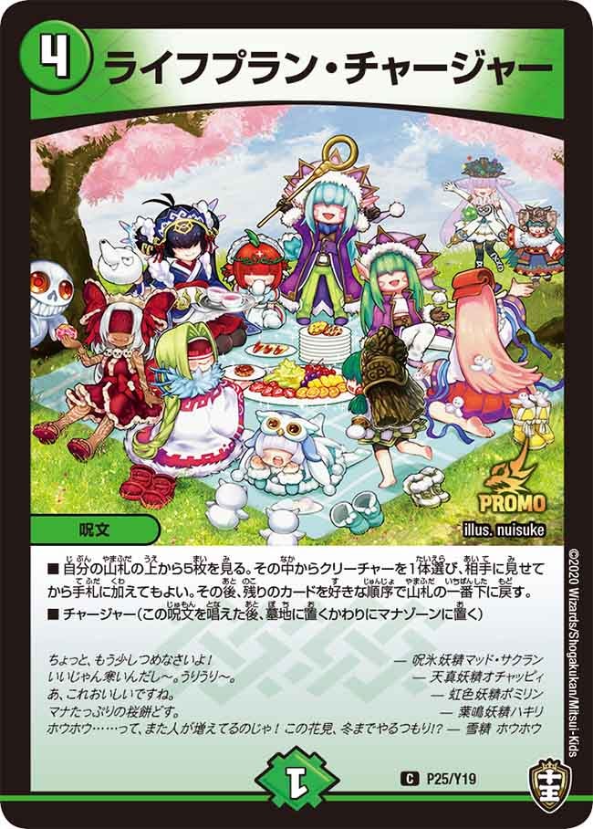ライフプラン・チャージャー P25/Y19 DMPROMOY19
