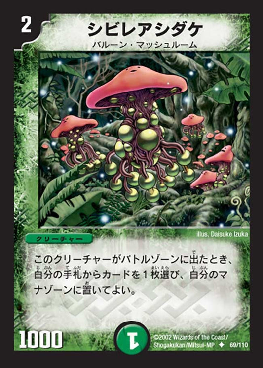 シビレアシダケ