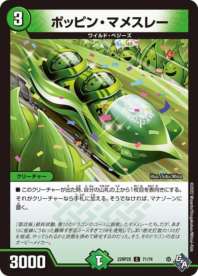 ポッピン・マメスレー　71/74 DM22RP2X