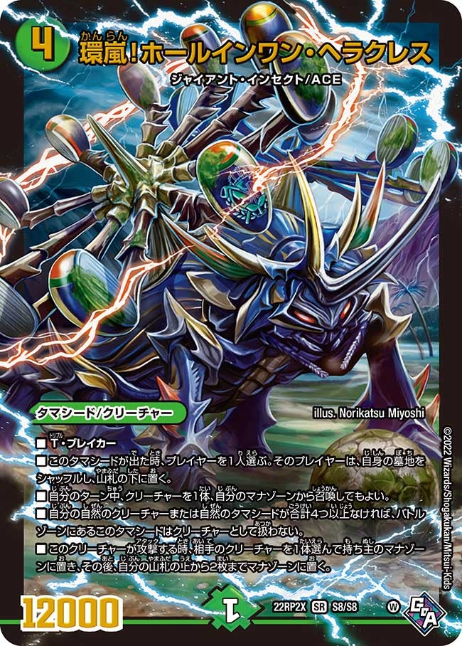 環嵐！ホールインワン・ヘラクレス　S8/S8 DM22RP2X