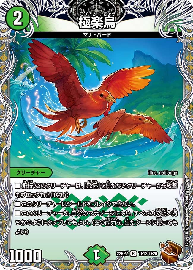 極楽鳥　TF12/TF20 DM22RP2X