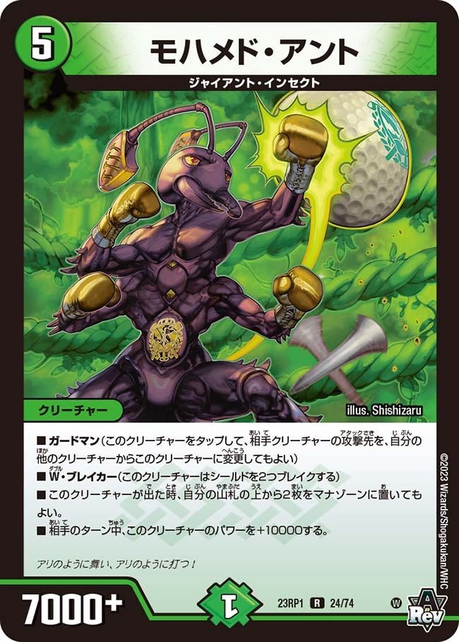 モハメド・アント　24/74 DM23RP1
