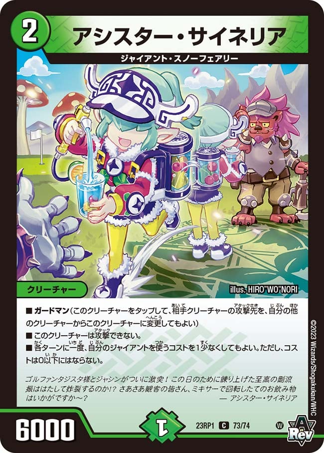 アシスター・サイネリア　73/74 DM23RP1