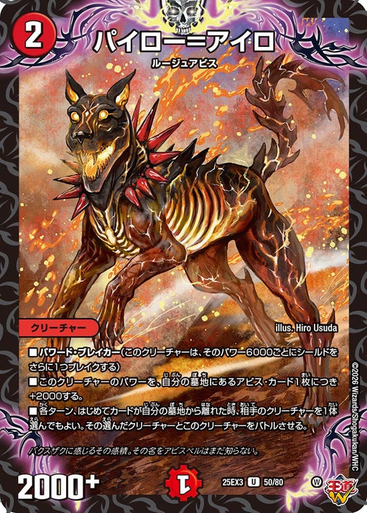 パイロー＝アイロ(DM25EX3 50/80) U