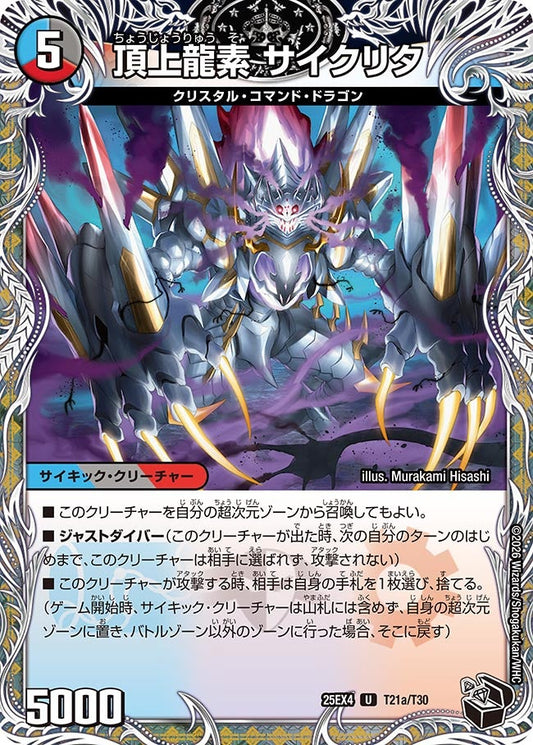 頂上龍素 サイクリタ　T21/T30 DM25EX4