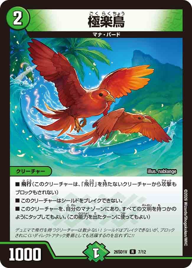 【状態B】極楽鳥