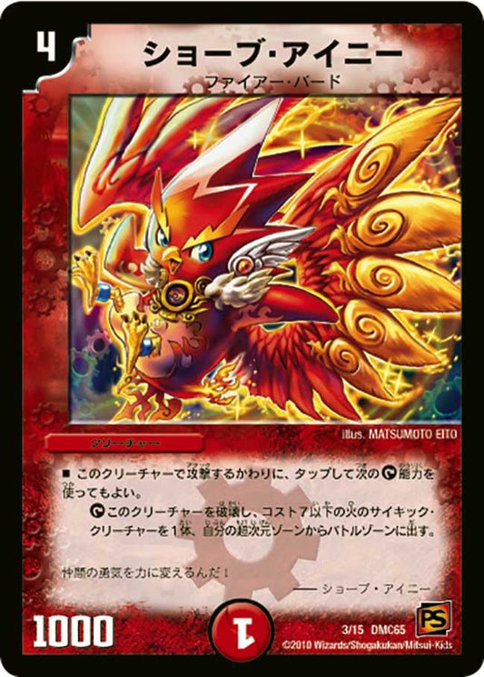 ショーブ・アイニー
