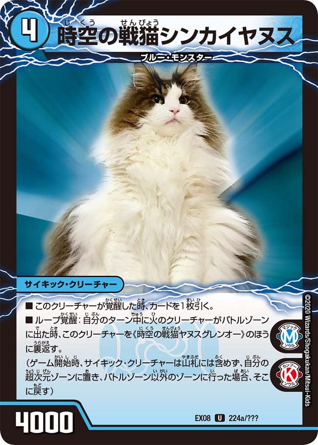 時空の戦猫シンカイヤヌス　224/??? DMEX08