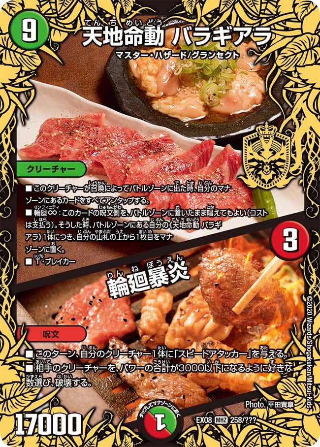 天地命動 バラギアラ / 輪廻暴炎　258/??? DMEX08