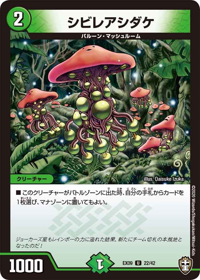 シビレアシダケ　22/42 DMEX09