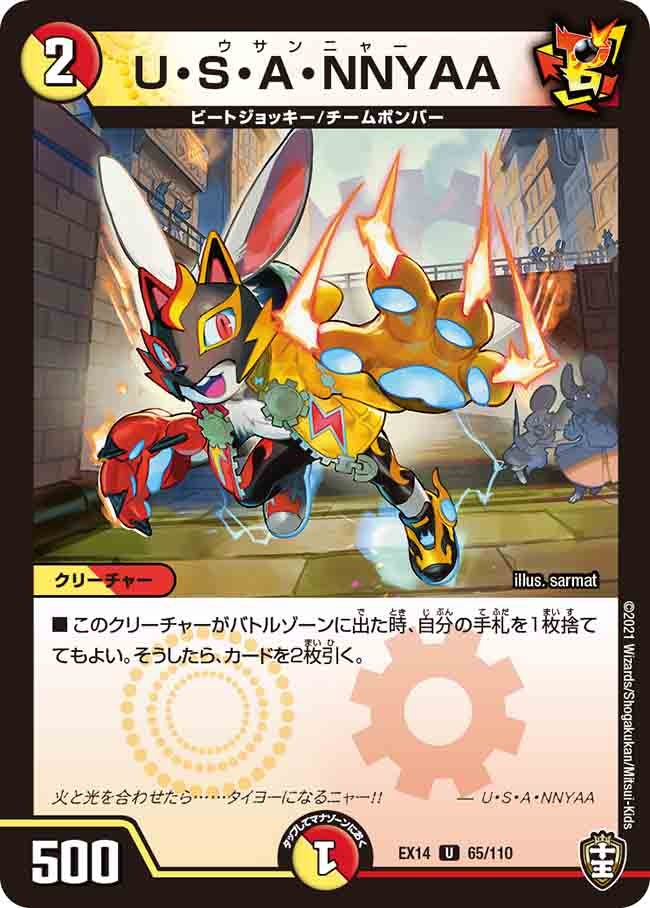U・S・A・NNYAA　65/110 DMEX14