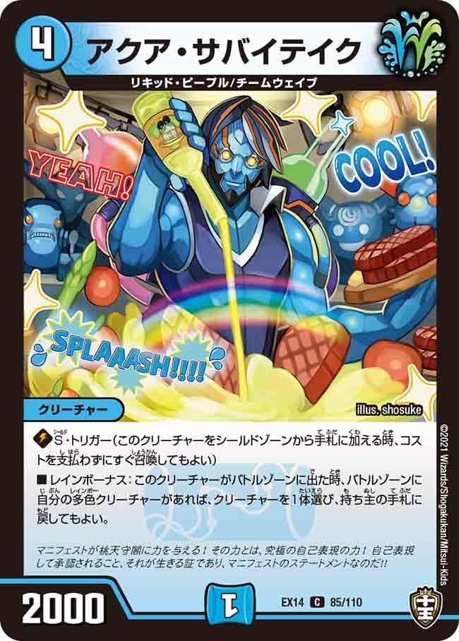 アクア・サバイテイク　85/110 DMEX14