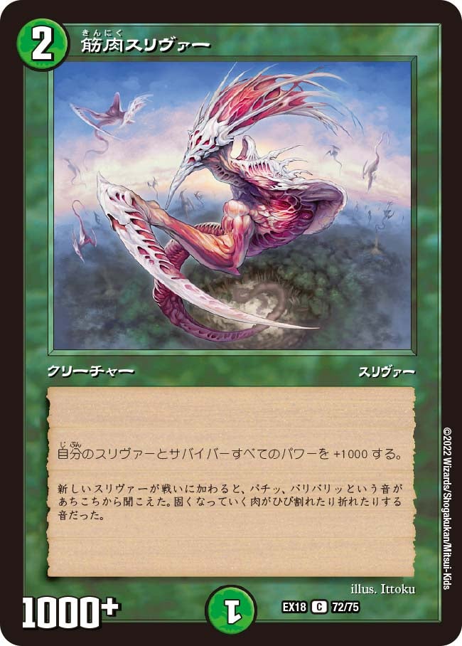 筋肉スリヴァー　72/75 DMEX18