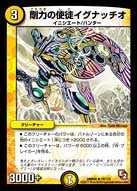 剛力の使徒イグナッチオ