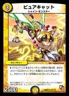 ピュアキャット