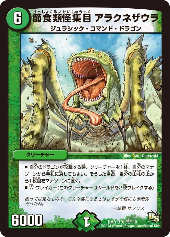 節食類怪集目 アラクネザウラ