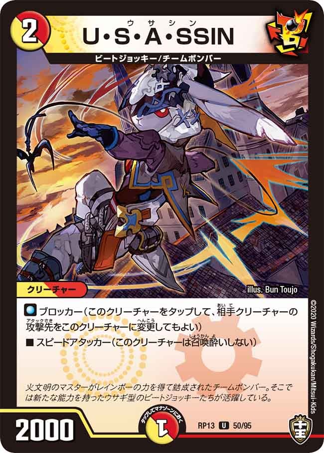 U・S・A・SSIN　50/95 DMRP13