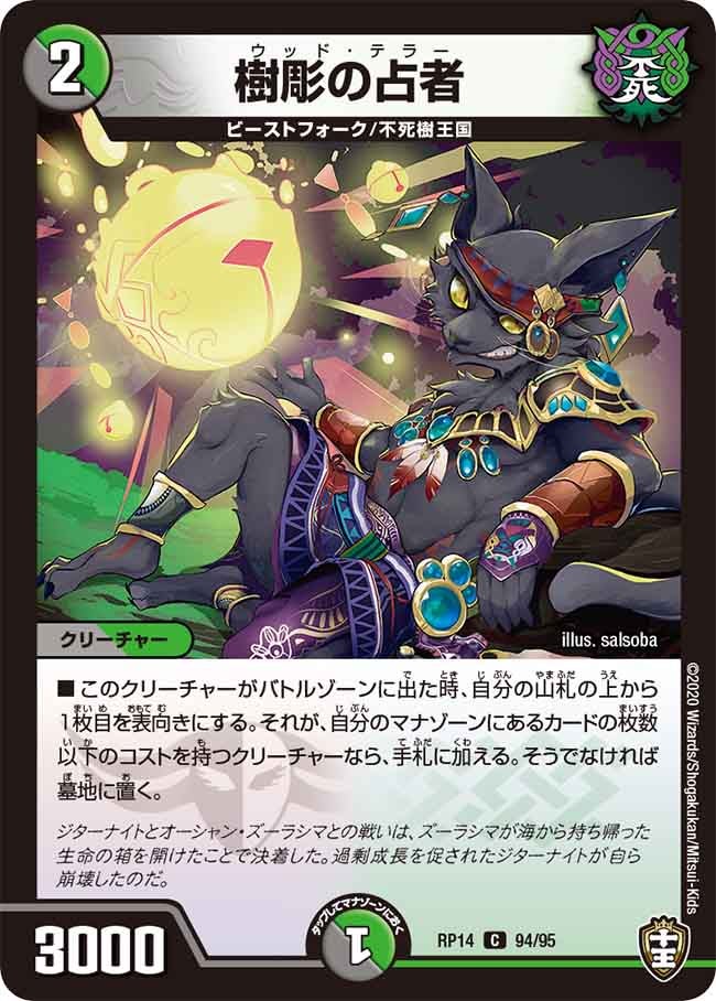 樹彫の占者　94/95 DMRP14