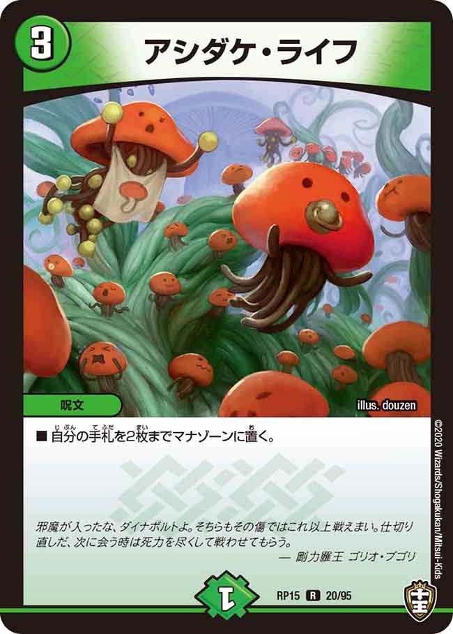 アシダケ・ライフ　20/95 DMRP15