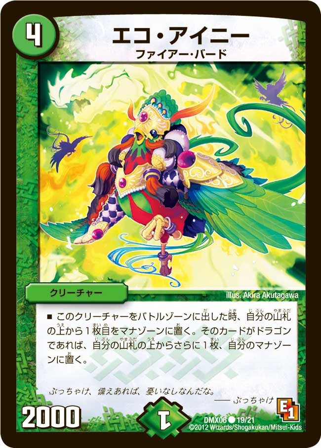 エコ・アイニー
