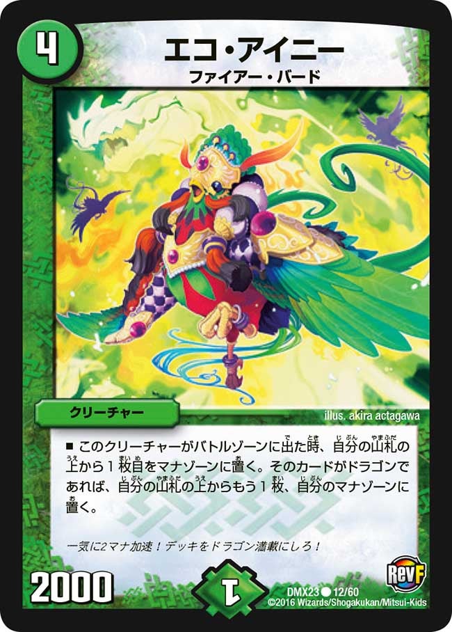 エコ・アイニー