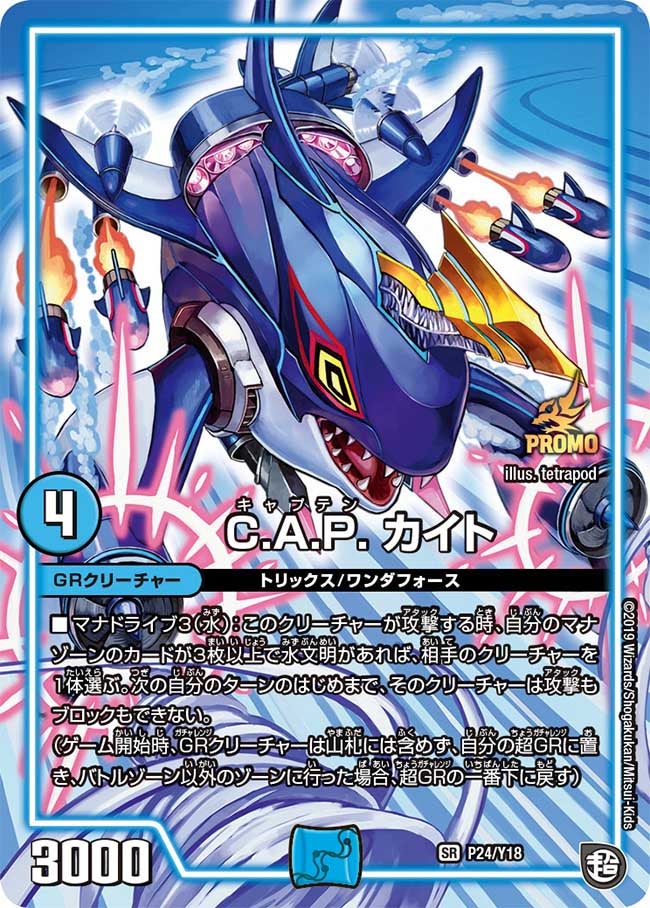 C.A.P. カイト　P24/Y18 DMPROMOY18